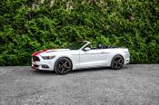 Pronájem Ford Mustang 3.7 V6 Cabrio bílá - skvělý zvuk