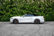 Pronájem Ford Mustang 3.7 V6 Cabrio bílá - skvělý zvuk 